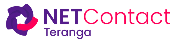Logo NETSoins