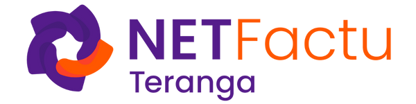 Logo NETSoins