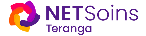 Logo NETSoins