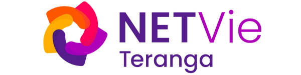 Logo NETSoins