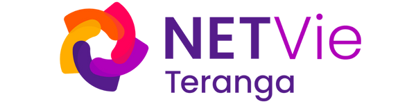 Logo NETSoins