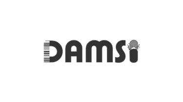 Logo Damsi