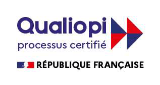 Logo INSi
