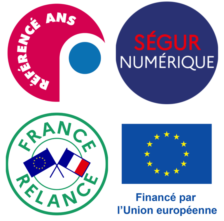 Logo INSi